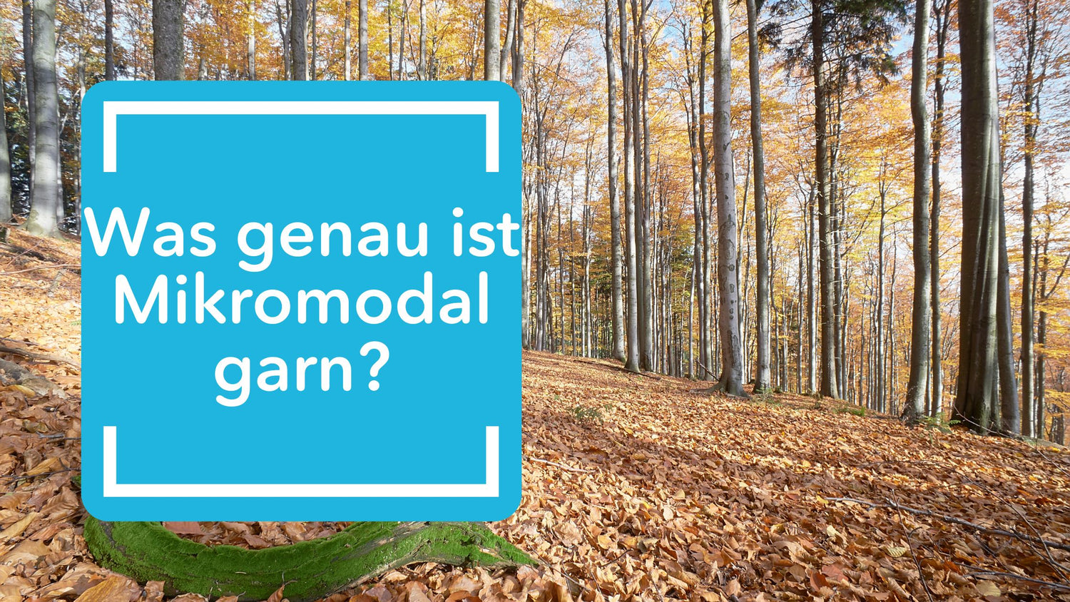 Alles, was du über Micromodal-Garn wissen musst