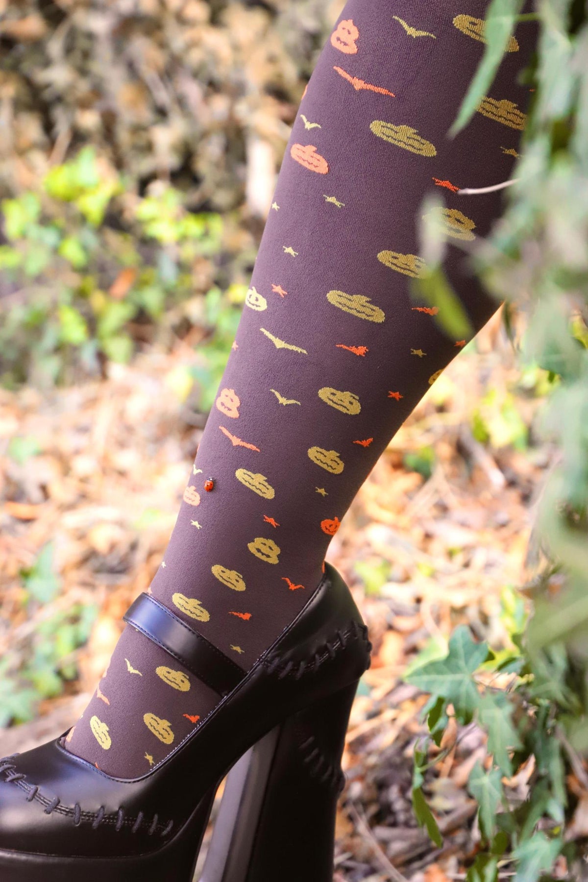 Halloween-Strumpfhose – Jack O Lantern – Bear