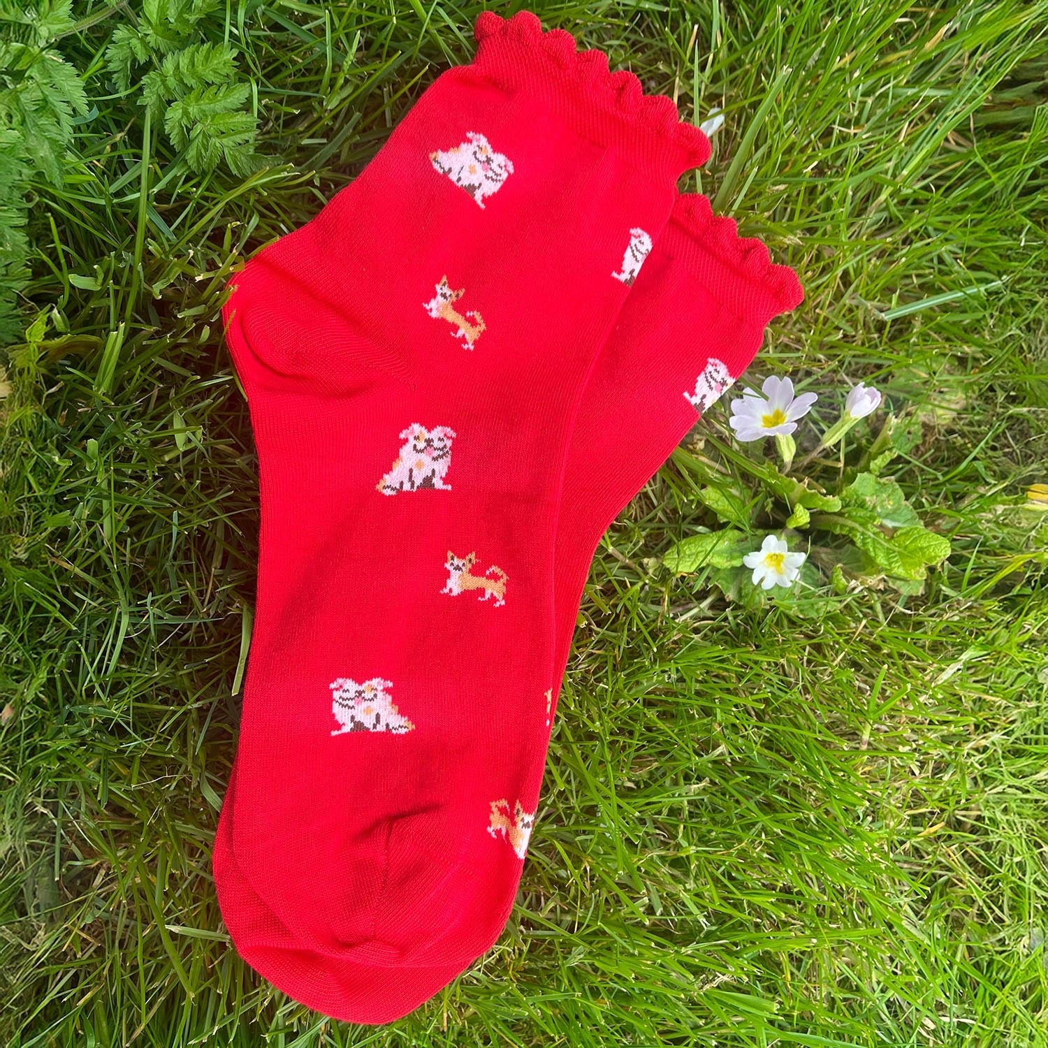 Ultimative Bambus-Knöchelsocken - Woof